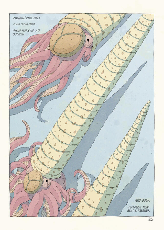 Ink drawing of three Endoceras, colored in pastel tones. They are arranged so their long shells form a diagonal composition. Several facts about them are also written on the illustration.