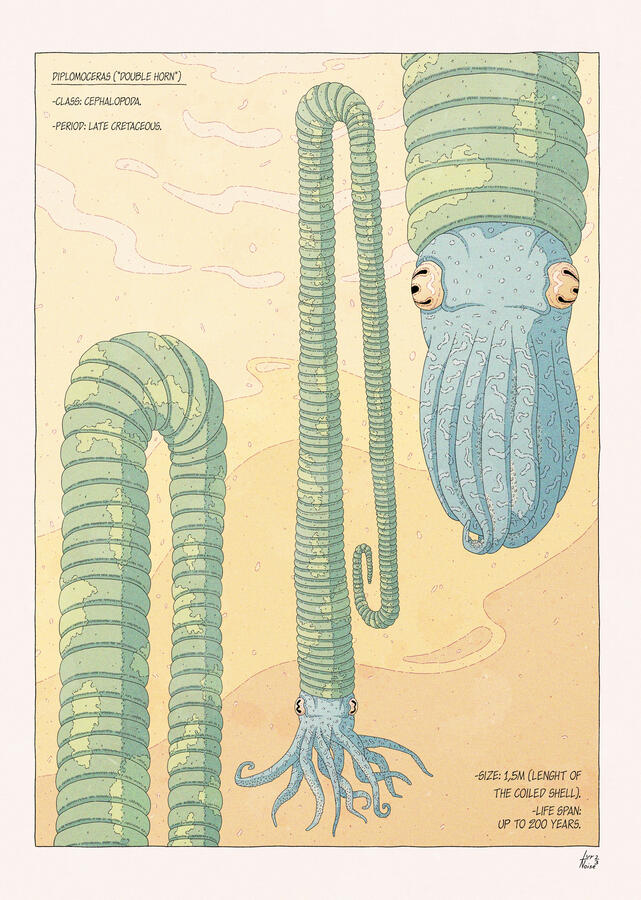 Color illustration of three diplomoceras, with green shells and blue bodies, floating against a background of yellow water. Facts about the animal are written on the corners.