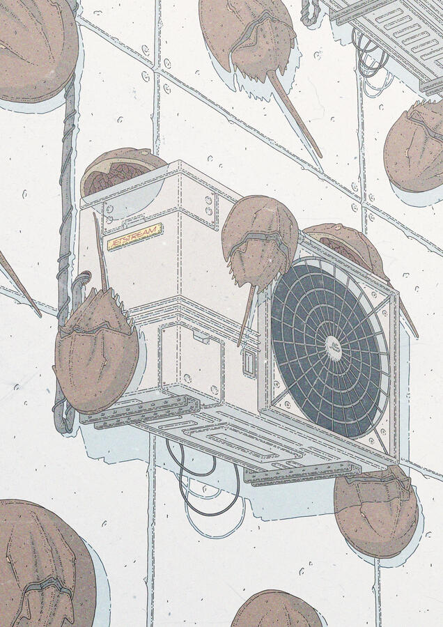 Color illustration of several horseshoe crabs climbing a brutalist wall with air conditioning units on it.