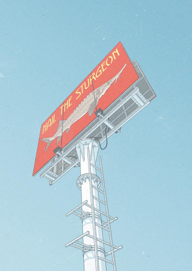 Color illustration of a billboard against a blue sky. The billboard shows an sturgeon against a red background and yellow text saying "Hail the Sturgeon".