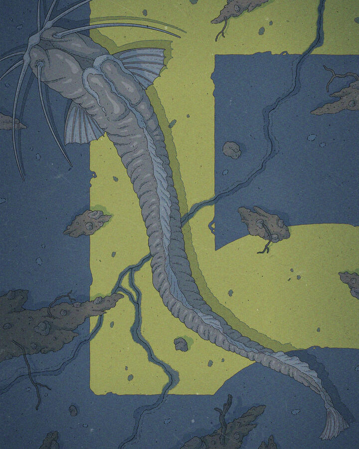 Color illustration of a Uegitglanis zammaranoi cavefis, laying atop a number 5 painted on a flooded parking spot.